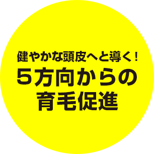 健やかな頭皮へと導く！5方向からの育毛促進