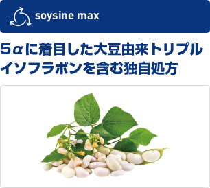 5αに着目した大豆由来トリプルイソフラボンを含む独自処方